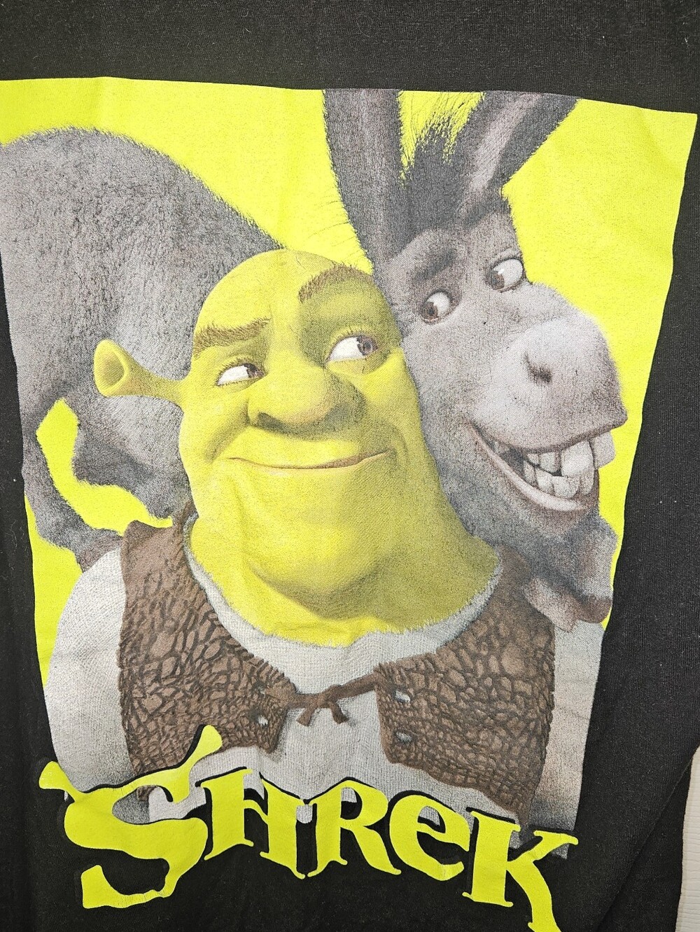 Shrek And Donkey T-Shirt Men's L Short Sleeve Crew Neck Graphic Black Green #1